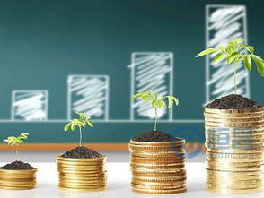 恒昌公司 那些省時又省力的財富管理方法