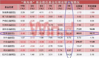 基金公司管理戰略配售基金 投資管理能力的關鍵維度